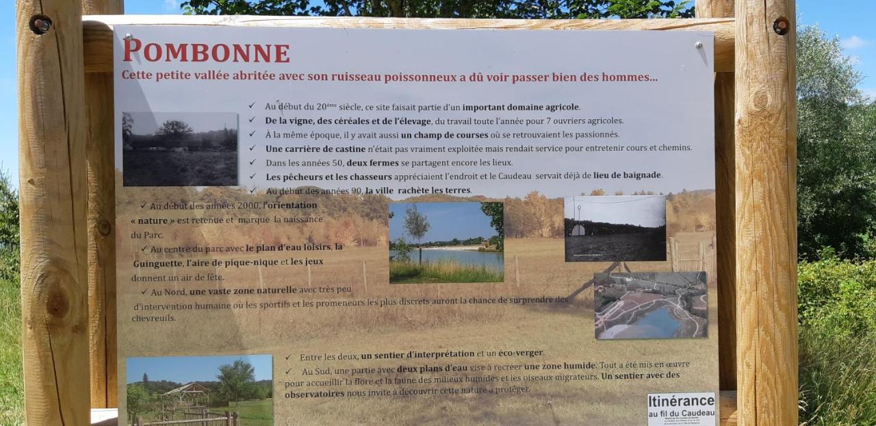 Charmant Logement Avec Piscine 贝尔热拉克 外观 照片
